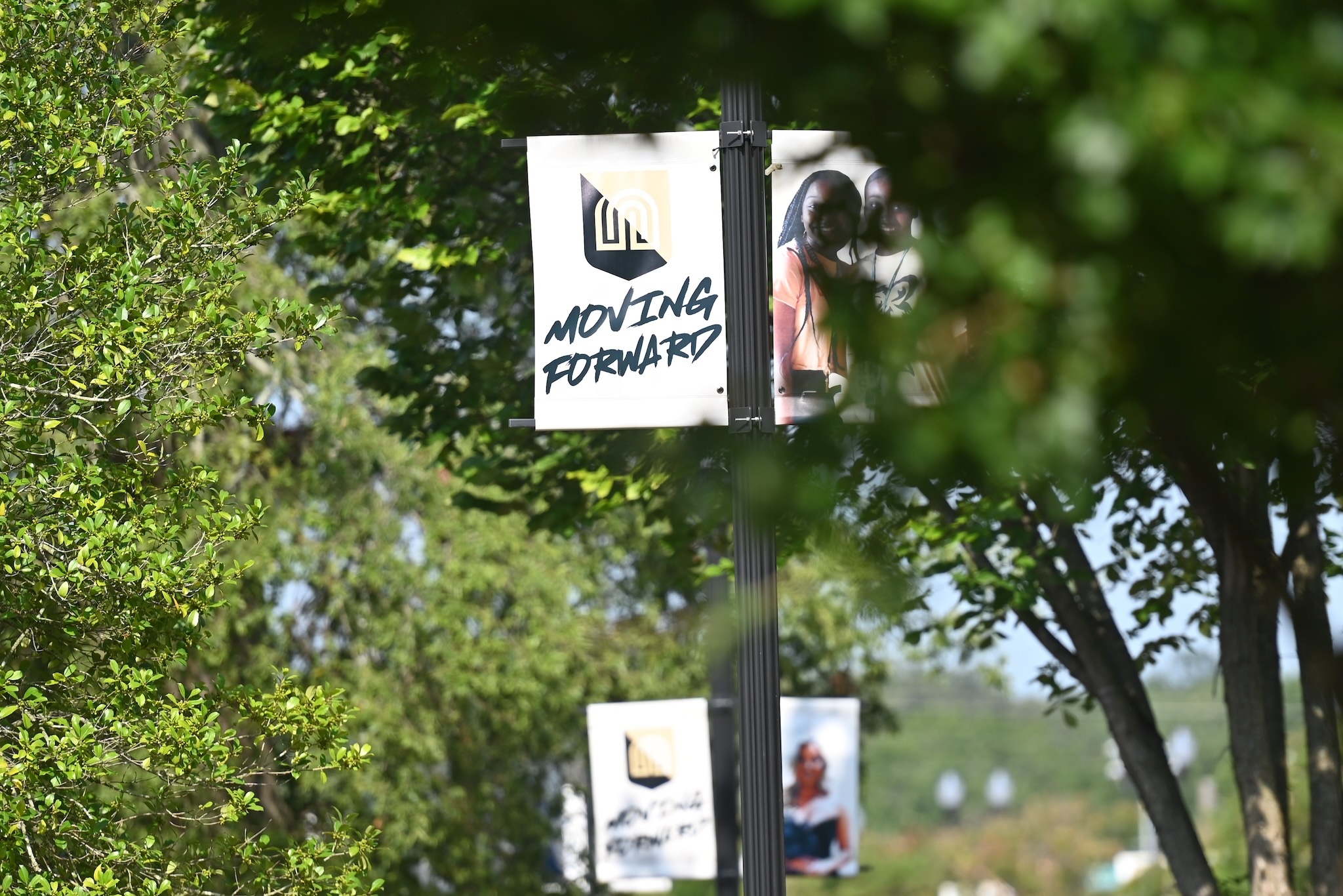 Photo of banner handing on the Northeast Boulevard