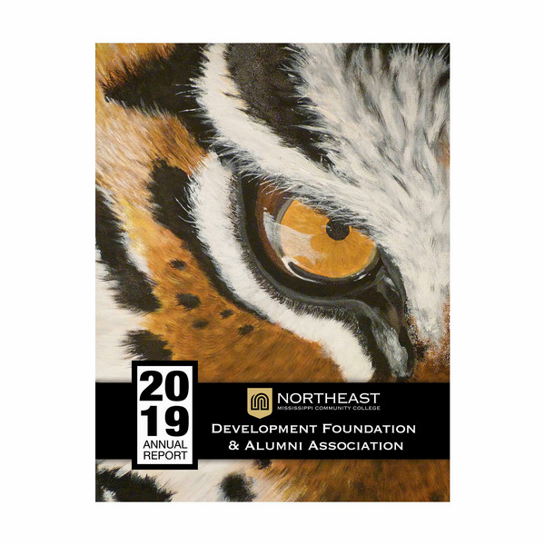 cover for the 2019 annual report featuring a hand drawn tiger eye