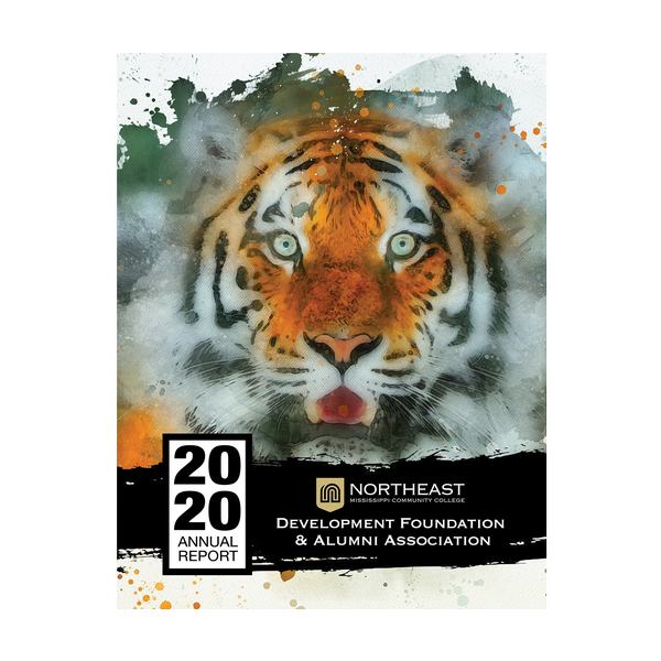 cover graphic for the 2020 foundation annual report featuring a watercolor splash tiger