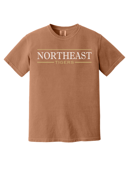 Front of the 2025 tiger paw shirt