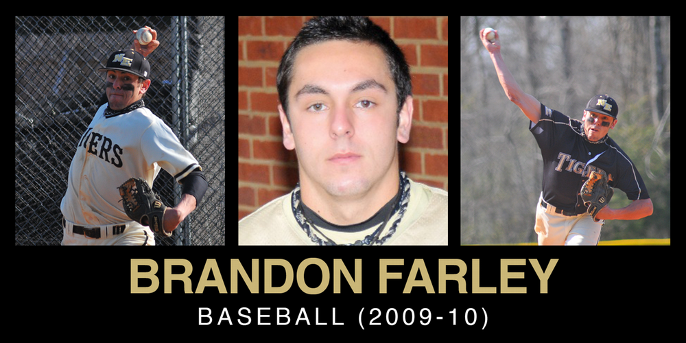Brandon Farley baseball collage featuring three action shots from the 2009-2010.