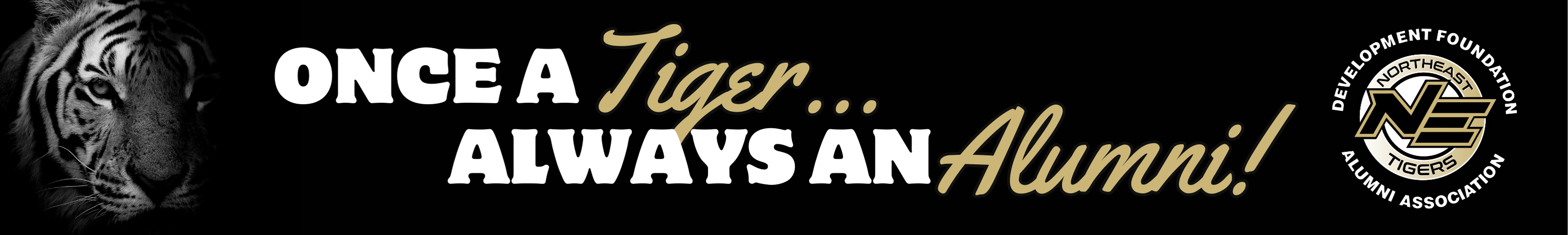 Alumni Association Banner featuring the slogan "Once a Tiger...Always and Alumni!" with a photo of a tiger and the Foundation Logo