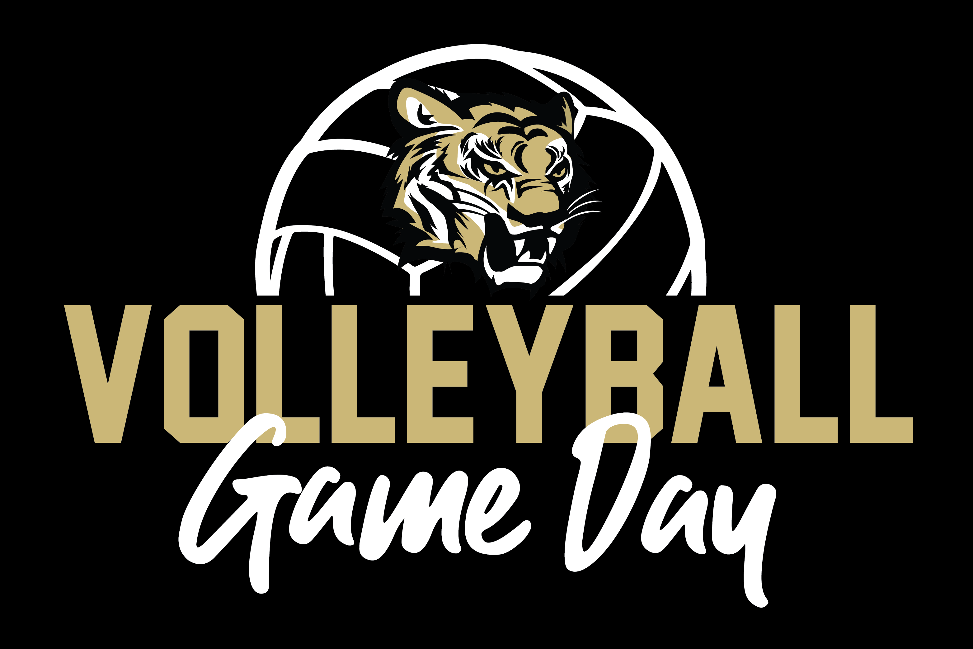 Volleyball Gameday