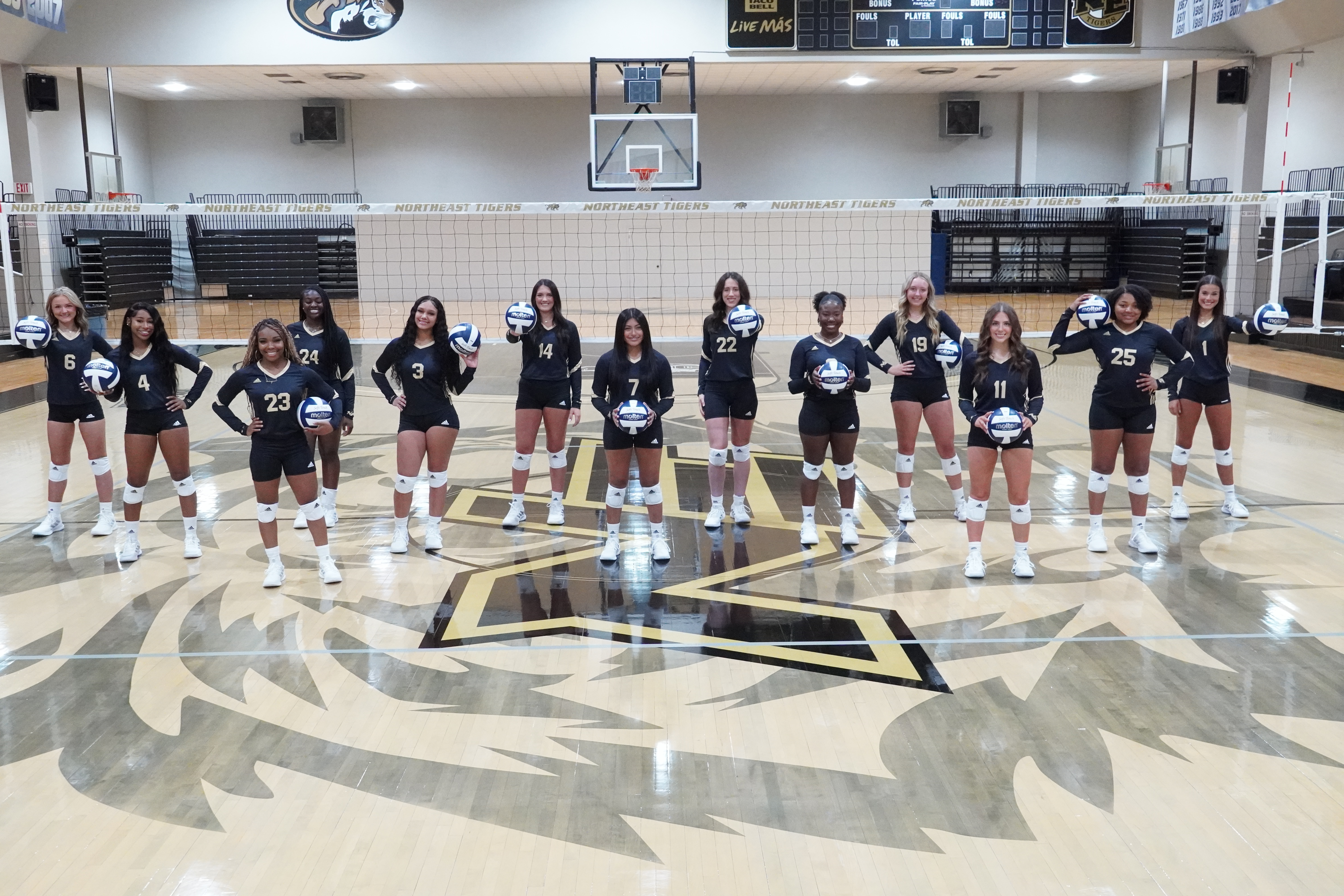 Volleyball Gameday