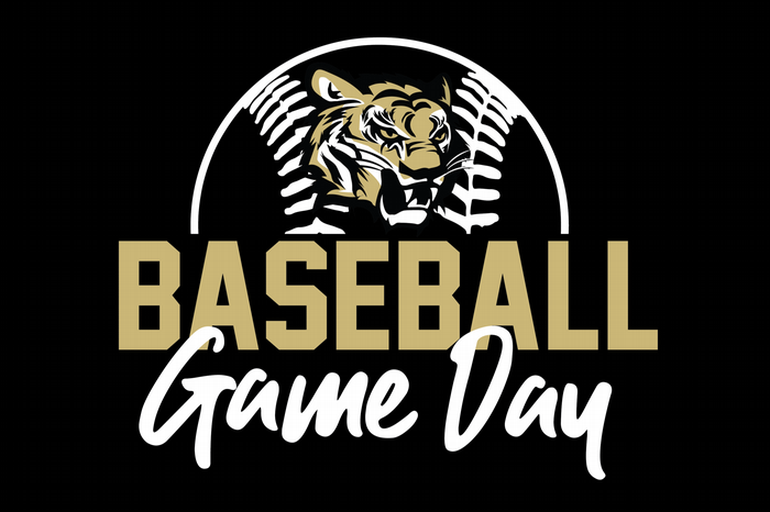 Baseball Home Game