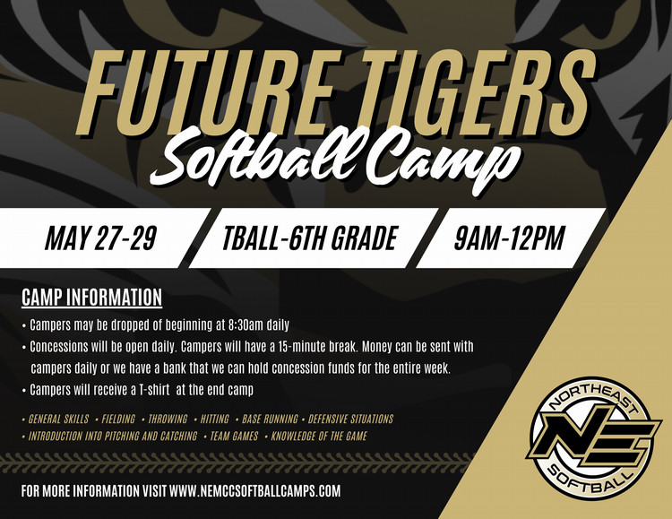 Softball Summer Camp
