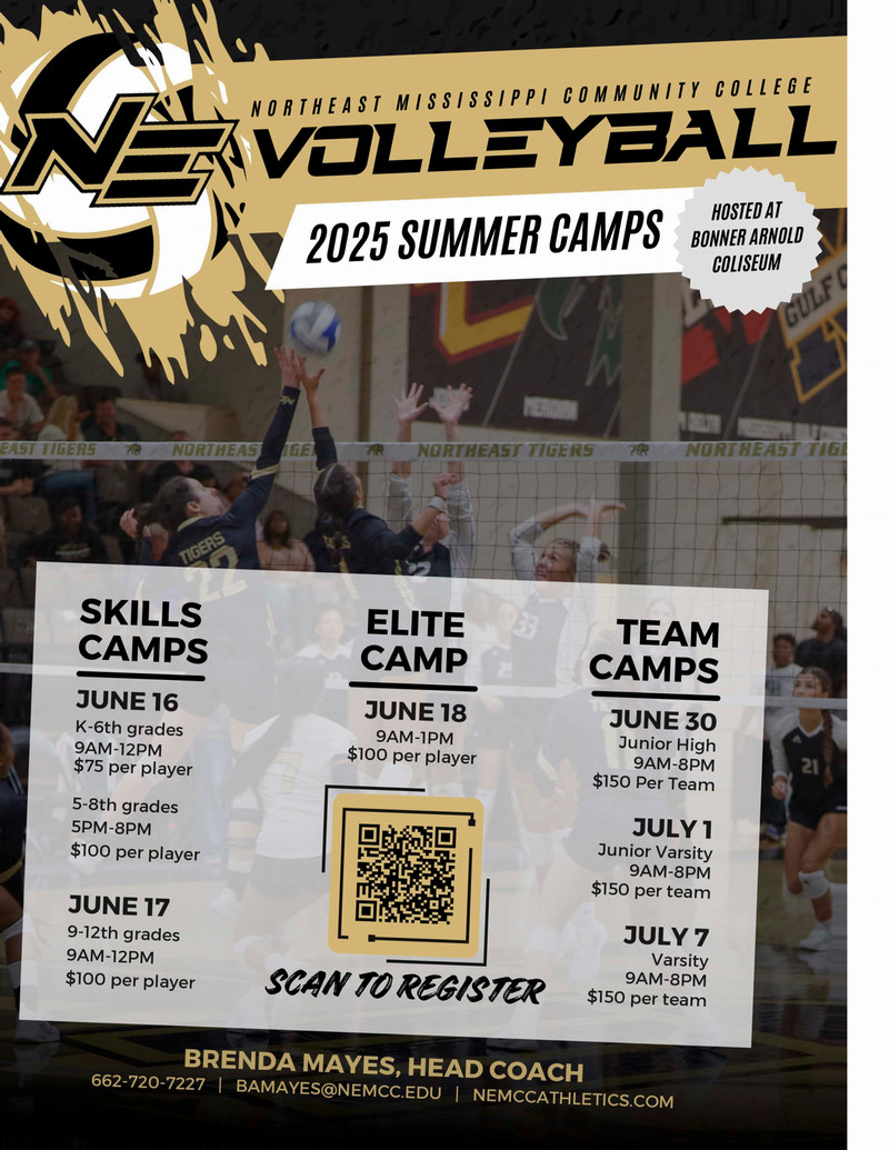 Volleyball Camp