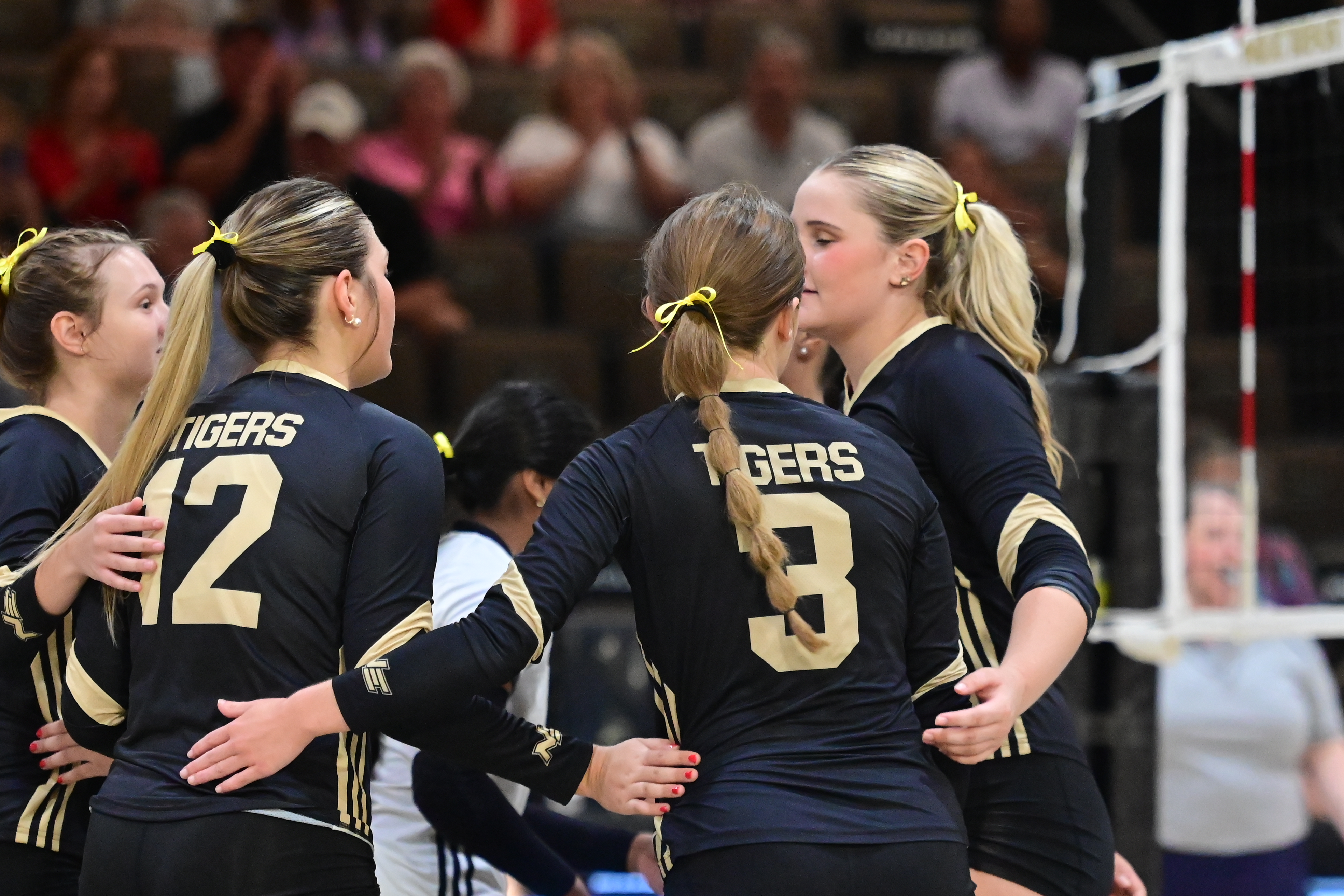 Volleyball Match