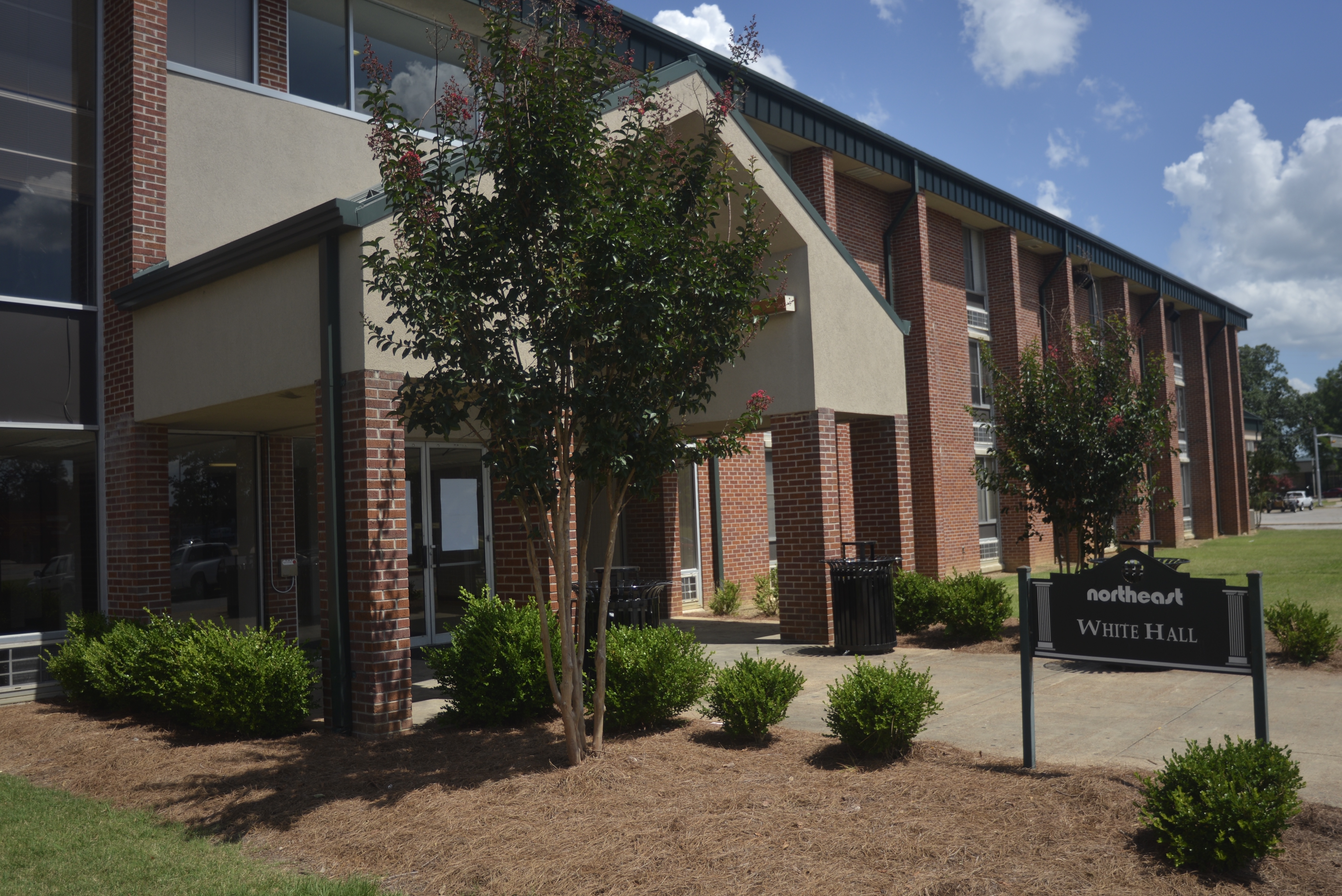 Northeast White Hall building entrance with landscaped surroundings and a sign.