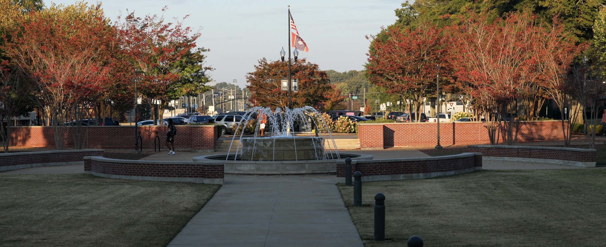 NEMCC LAWN