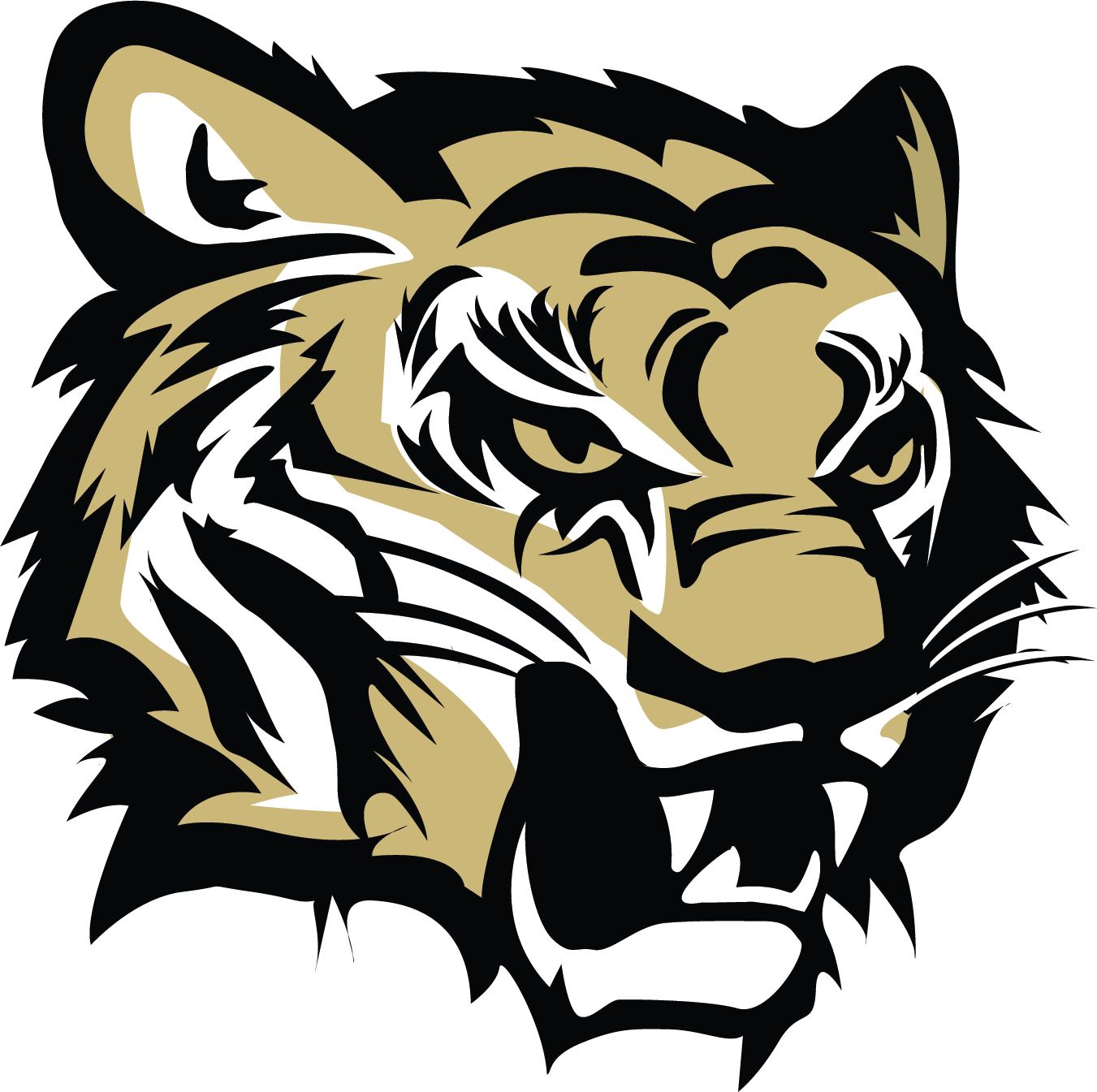 Tiger Head Graphic