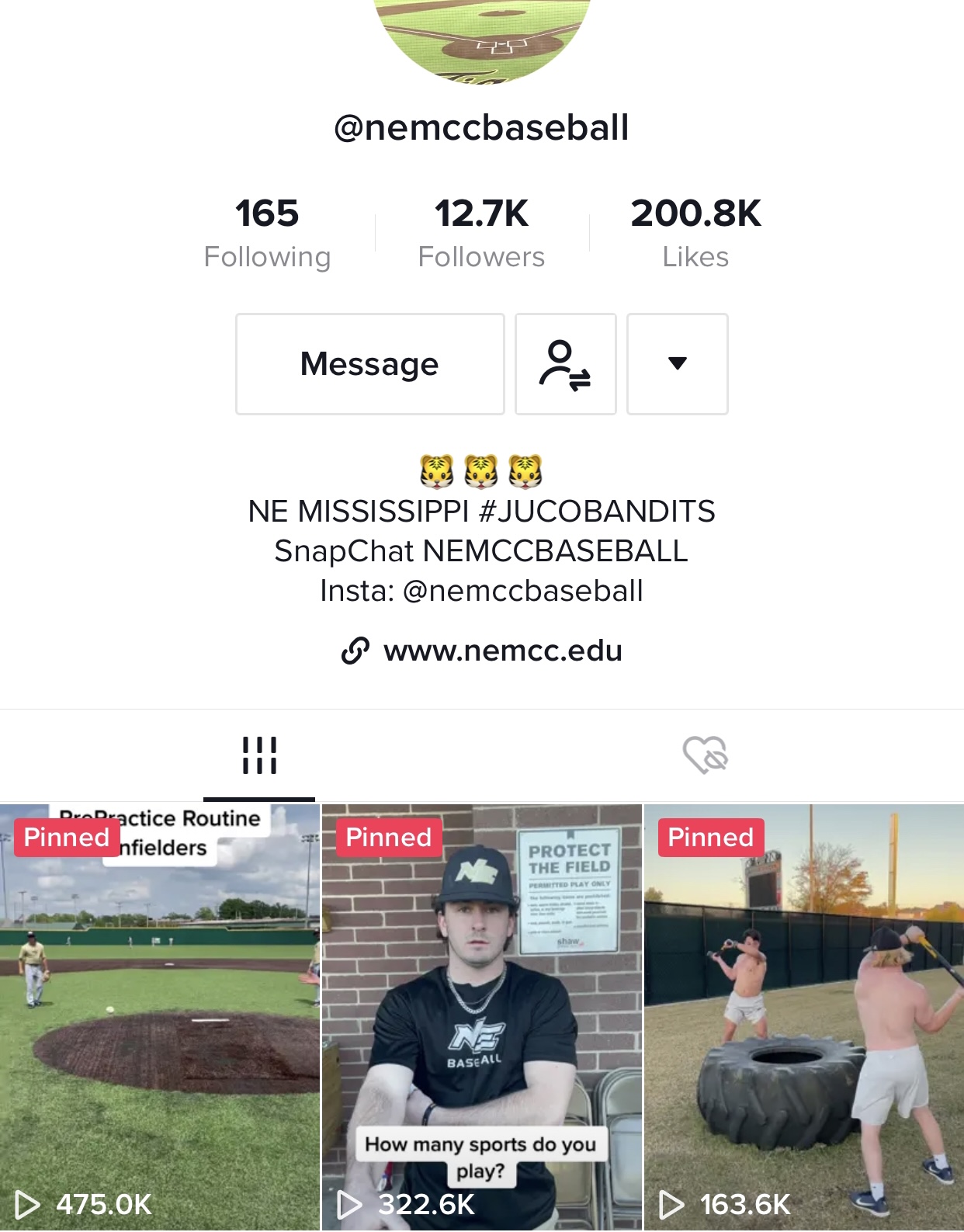 baseballtiktok.jpg