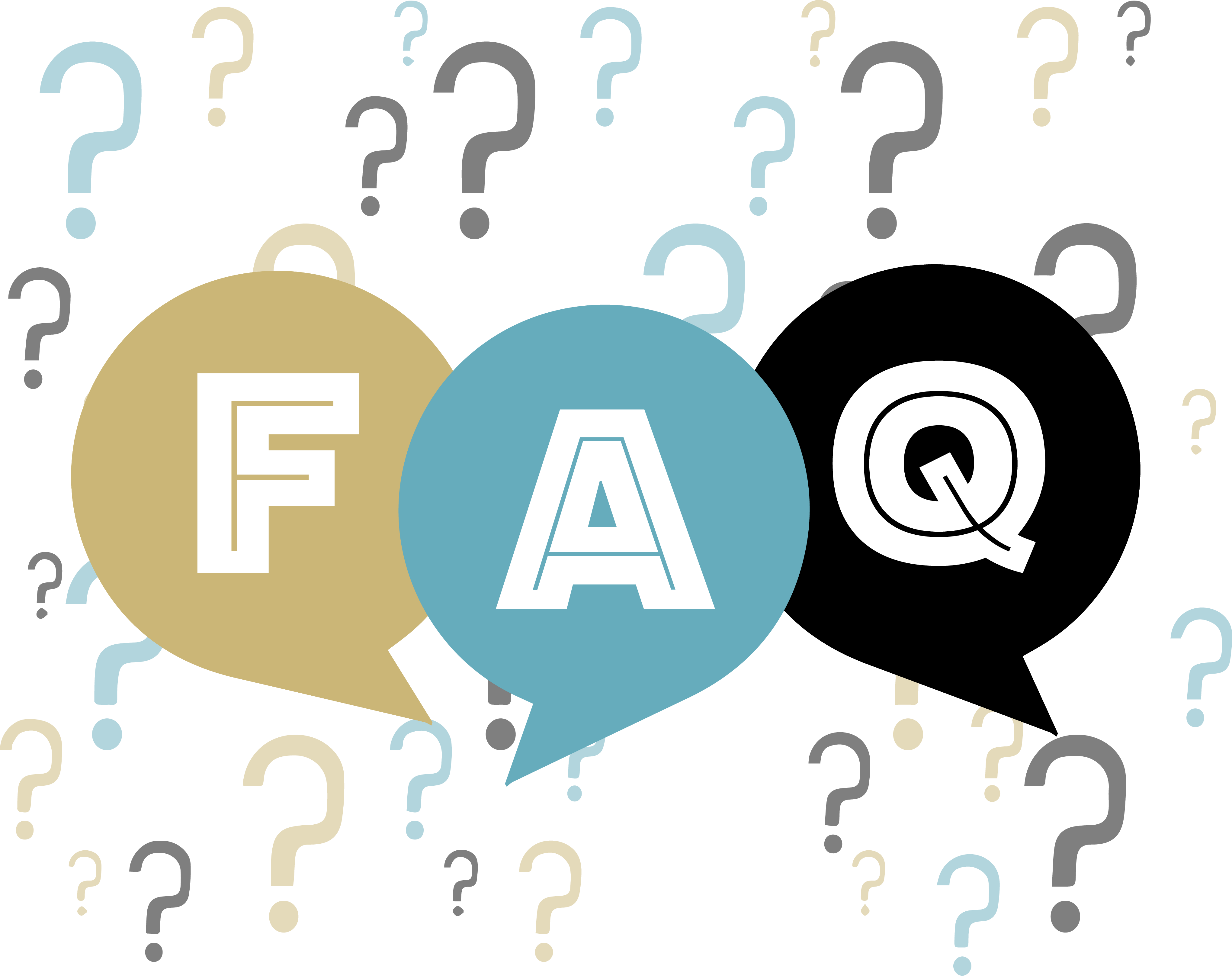 Frequently asked questions link